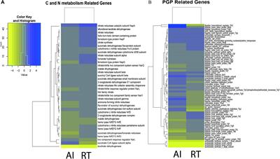 Quorum Sensing System Affects the Plant Growth Promotion Traits of Serratia fonticola GS2